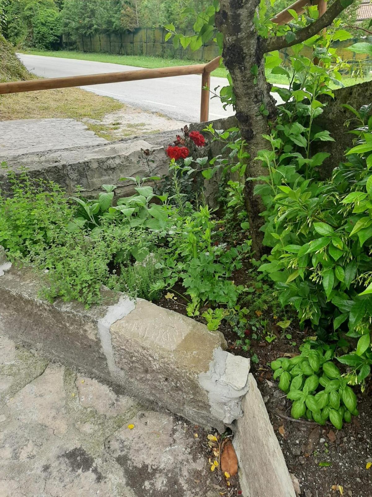 Il Caminetto Apartment Carpinone ภายนอก รูปภาพ